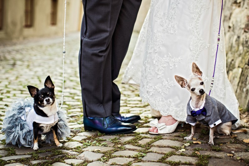 Michaela a Jeremy, Prague - Connorweddings.